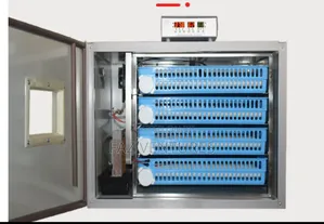 256 Eggs Incubator - Dual Power