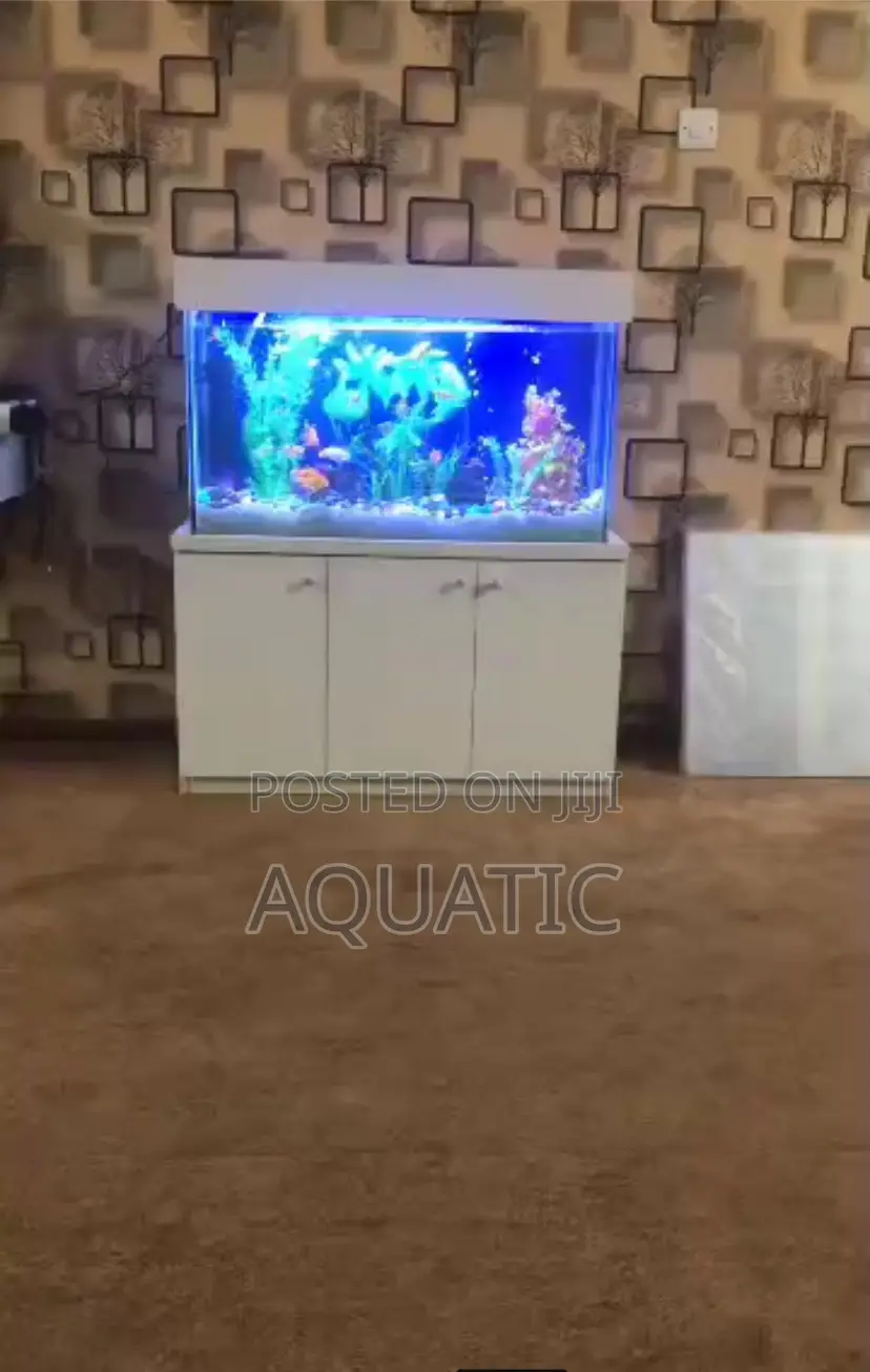 Aquarium Fish House