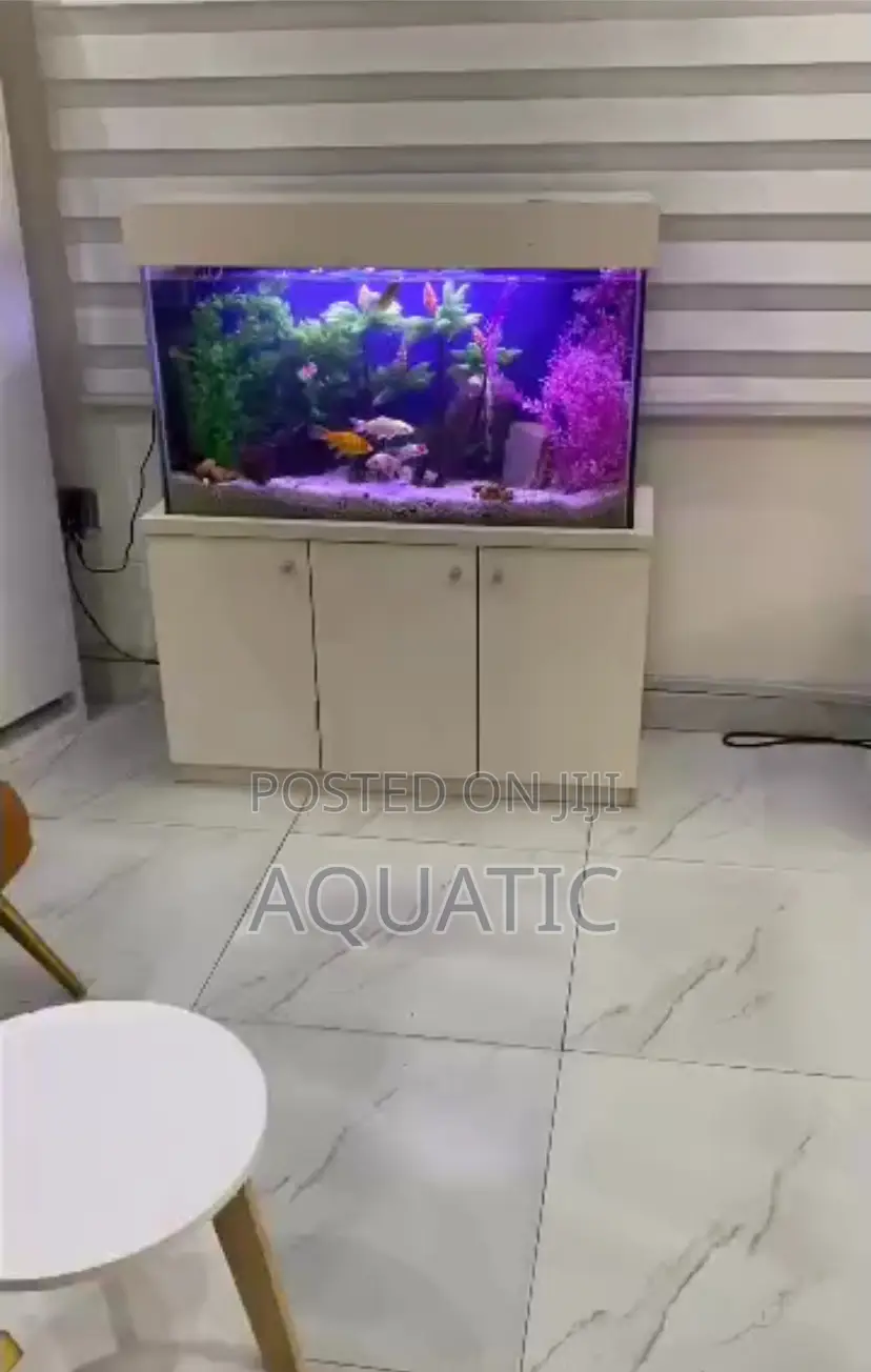Sitting Room Aquarium