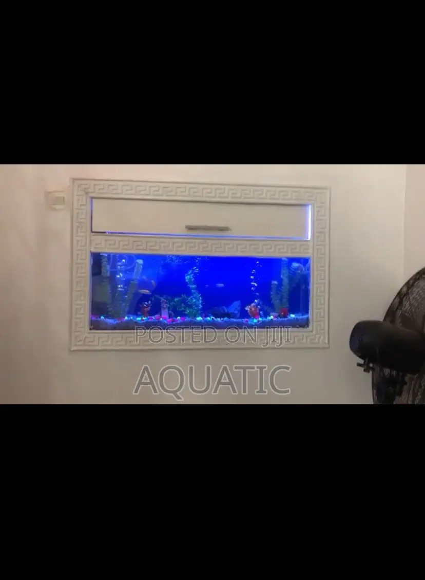 Wall Aquarium