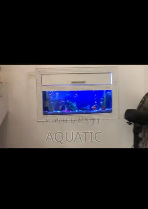 Wall Aquarium