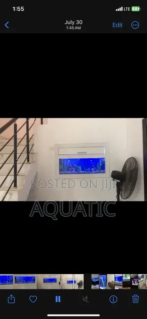 Wall Aquarium