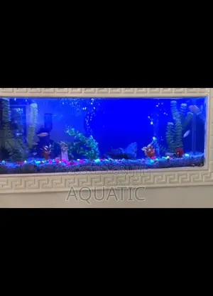 Wall Aquarium