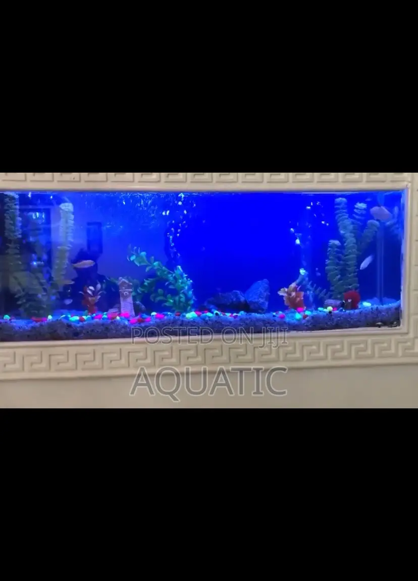 Wall Aquarium