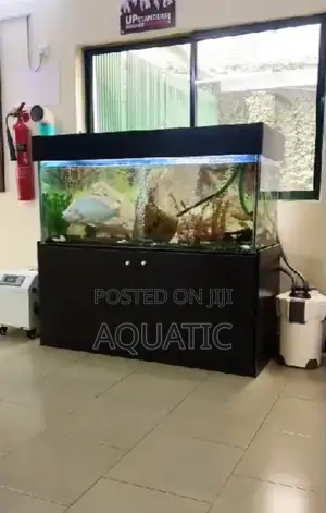 Aquarium Fish Tank