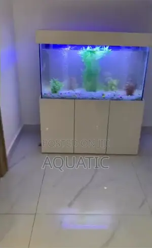 Dining Aquarium