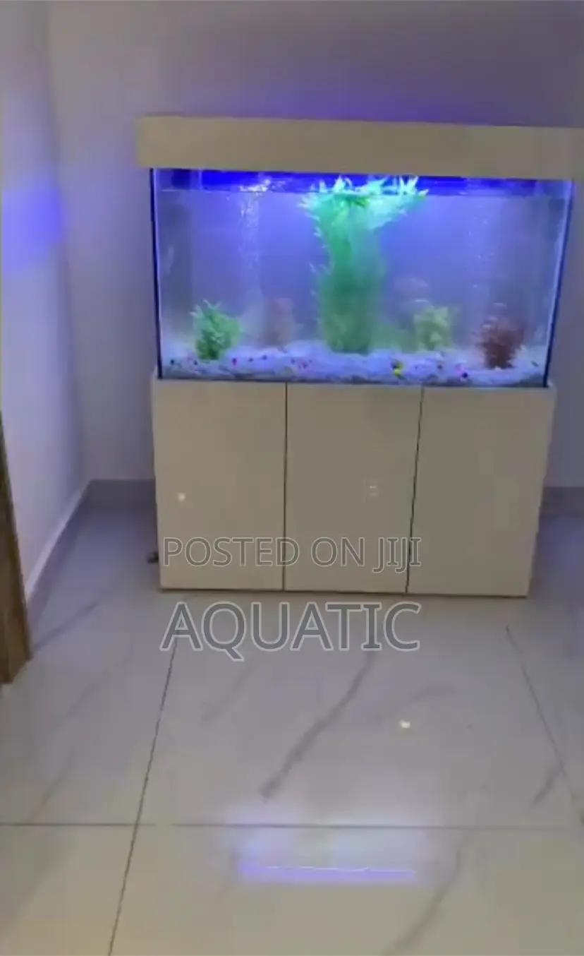 Dining Aquarium