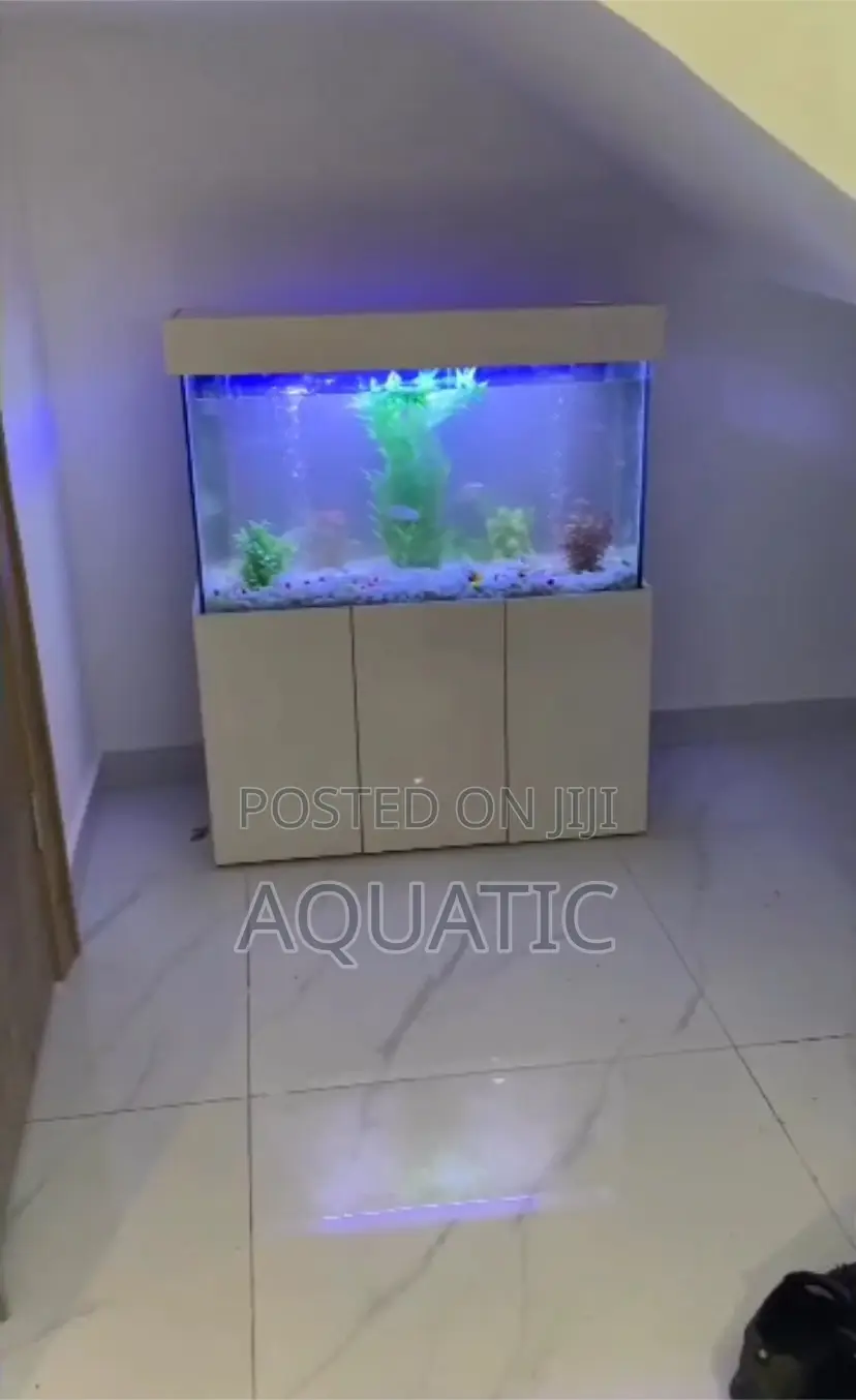 Dining Aquarium