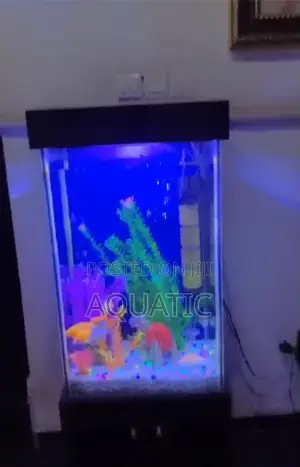 Long Aquarium