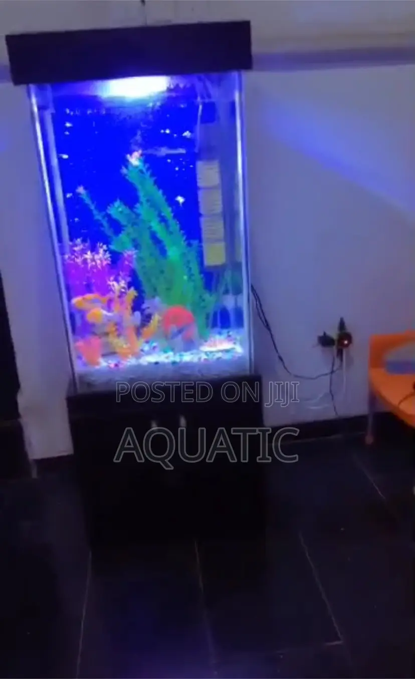 Long Aquarium