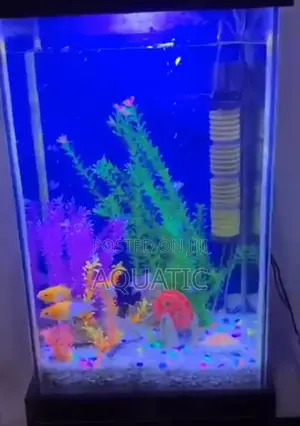 Long Aquarium