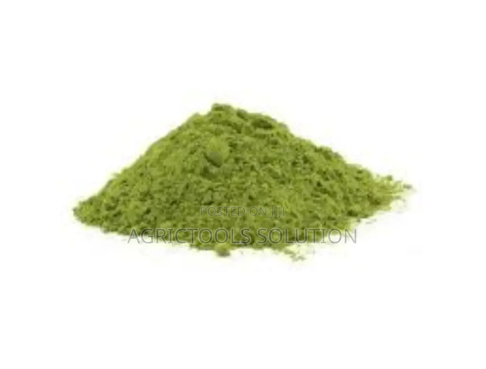 Moringa Powder