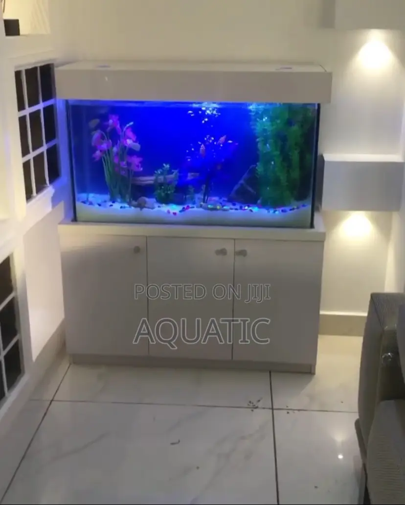 Aquarium 4.5ft