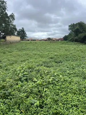 Photo - 8 Acres Of Land For Sale In Kobape Obafemi