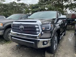 Toyota Tundra 2019 Brown