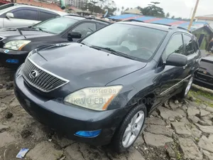Lexus RX 330 2005 Gray