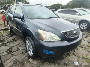 Lexus RX 330 2005 Gray