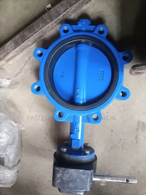 8" Worm Gear Operated Lug Butterfly Valve