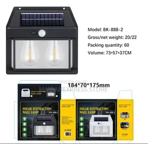 Double Solar Induction Wall Lamp