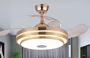Fan Chandelier Lighting