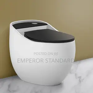White One-Piece Executive Wc Smart Toilet