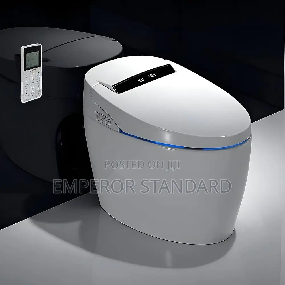 White One-Piece Executive Wc Smart Toilet