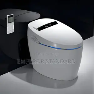 White One-Piece Executive Wc Smart Toilet