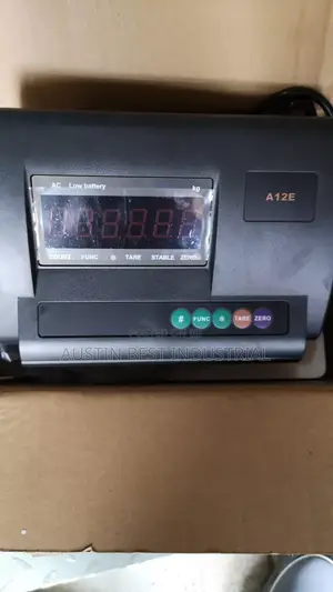 A12 Black Scale Monitor