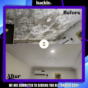 Mould Algae Mildew Treatment