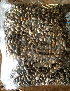 1 Kg of Castor Seeds