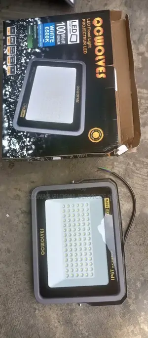 100w Qowolves Security Light