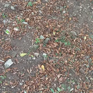 350sqm Land for Sale