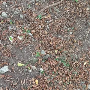 981sqm Land for Sale
