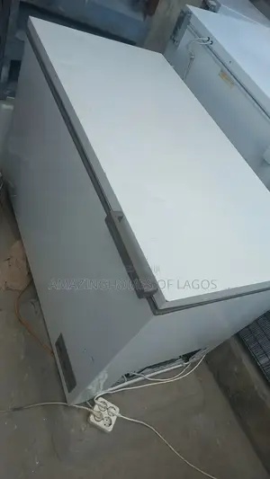 400L German Deep Freezer