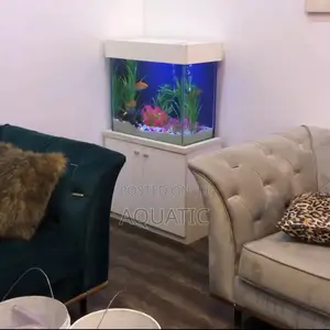 Aquarium 3ft