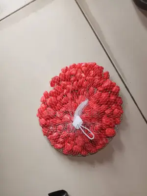 Red Pebble Stones