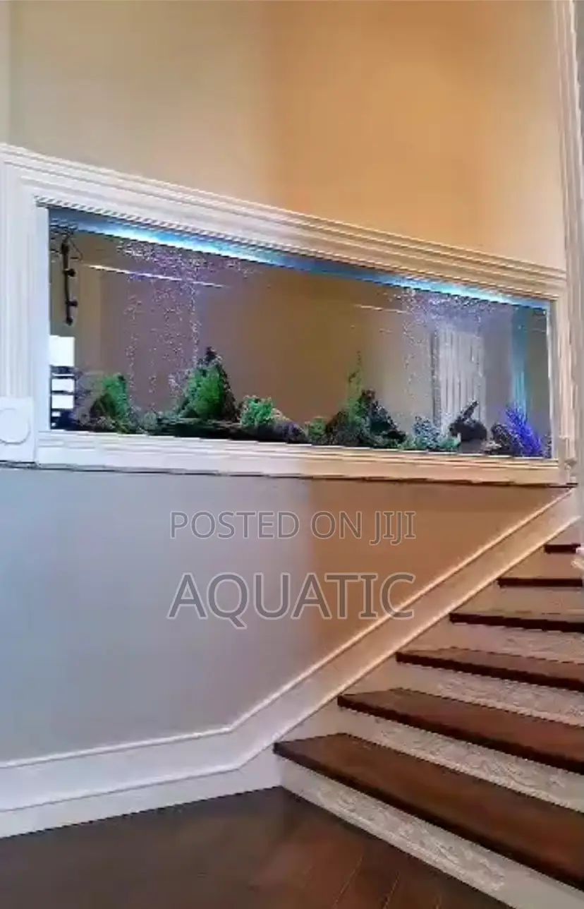 Wall Aquarium 8ft