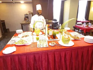 Professional Chef