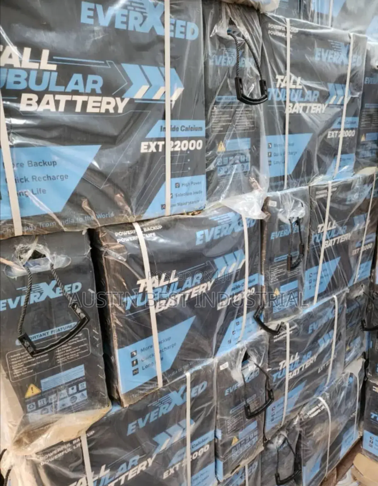 Everxeed India Tubular Battery 220A