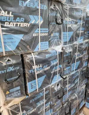 Everxeed India Tubular Battery 220A