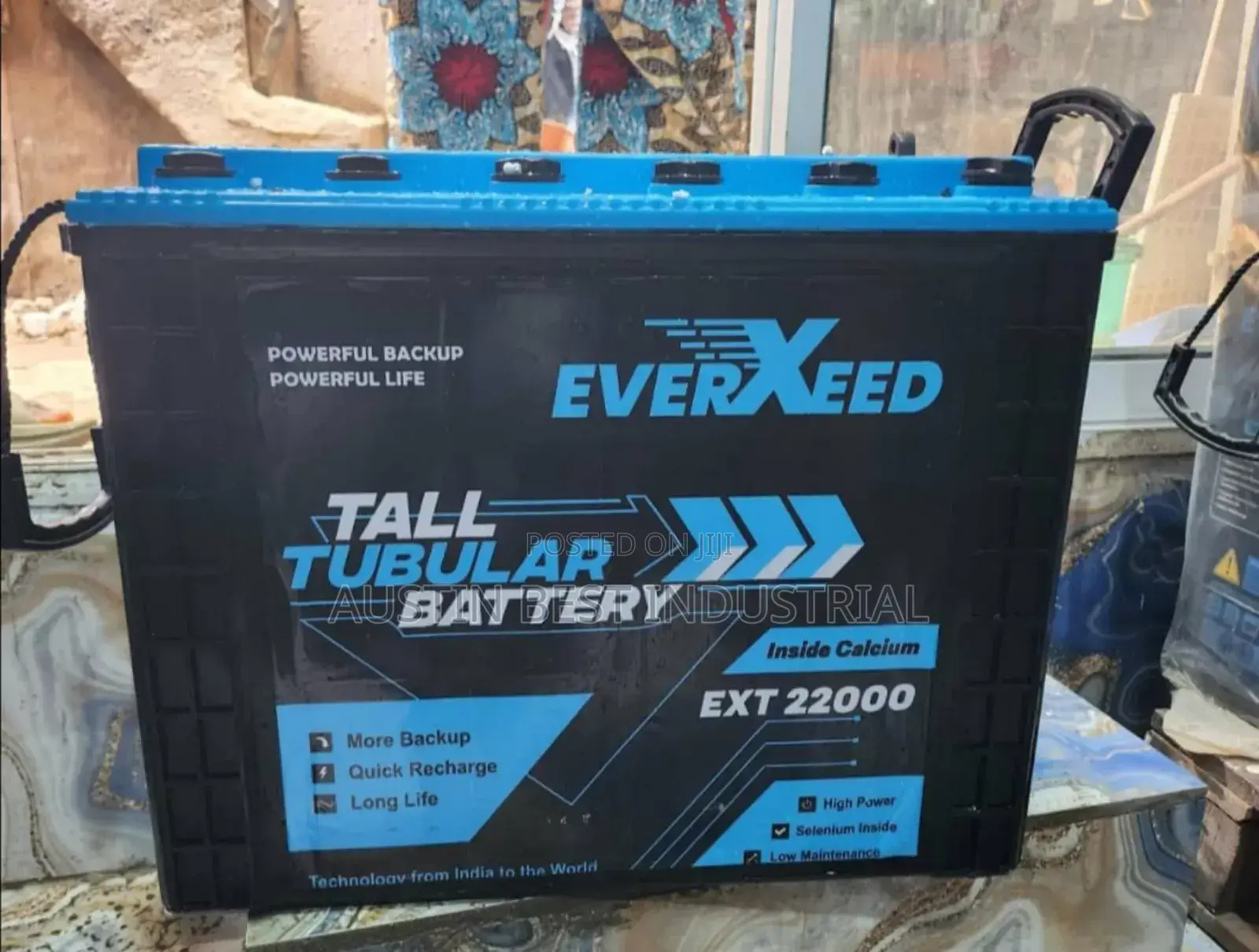 Everxeed India Tubular Battery 220A