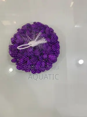 Purple Pebble Stone