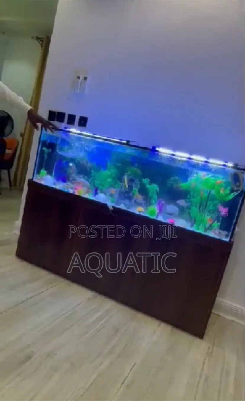 Aquarium On White