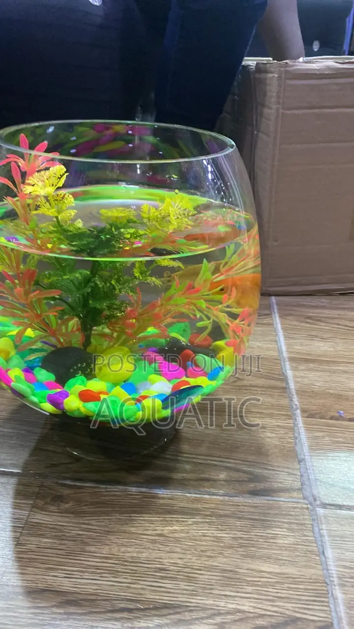 Fish Bowl Size 25