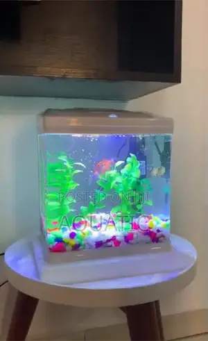 Table Top Aquarium