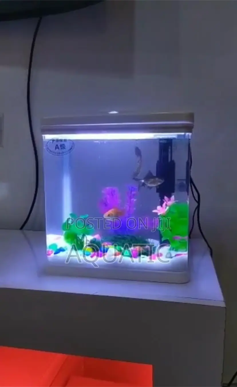 9 Liter Table Top Aquarium
