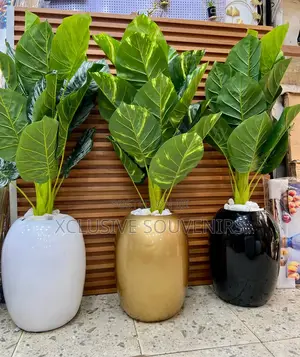 Egg Shaped Fiber Pot With Plant