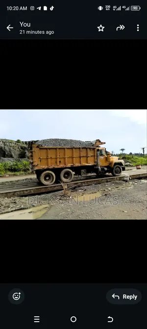IRON Chippings