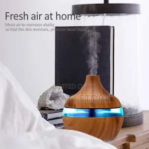 LED Home Aromatherapy Diffuser