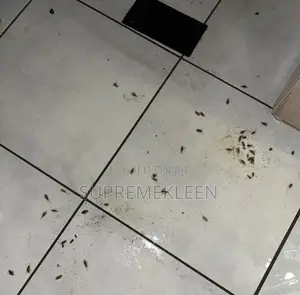 Fumigation Pest Control Services